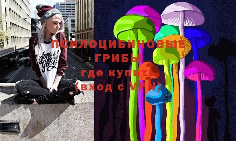 купить   Уржум  Псилоцибиновые грибы Magic Shrooms 